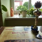 Stříbrná medaile na KWU Kyokushin