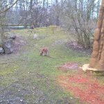 Výlet do ZOO 2016