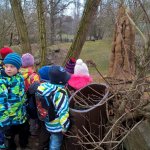 Výlet do ZOO 2016