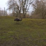 Výlet do ZOO 2016