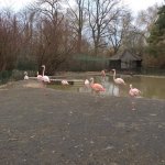Výlet do ZOO 2016