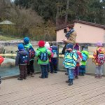 Výlet do ZOO 2016