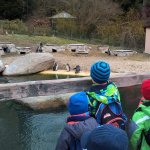 Výlet do ZOO 2016
