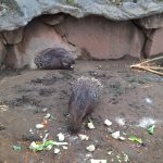 Výlet do ZOO 2016